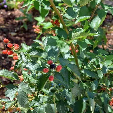 Dom wakacyjny J-adria