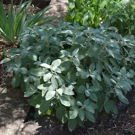 Prázdninový dům J-adria