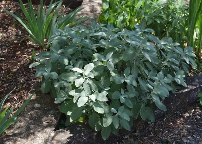 Semesterbostad J-adria